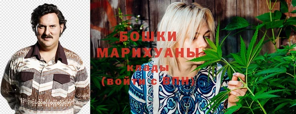 бошки Покачи