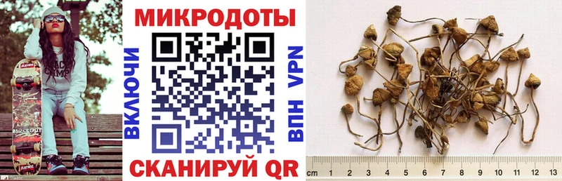 маркетплейс формула  Елец  Псилоцибиновые грибы GOLDEN TEACHER 